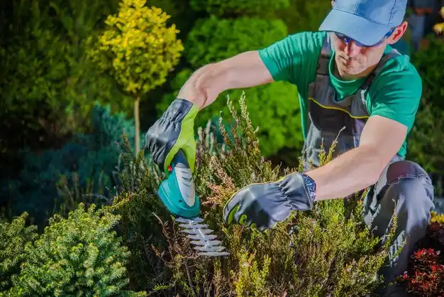 landscaping services Westwego